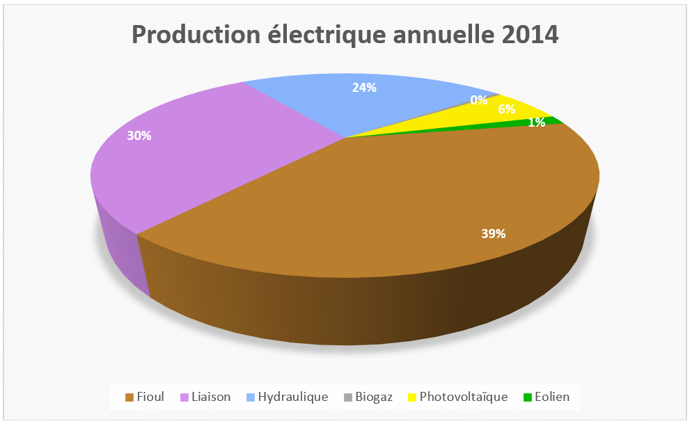 Production électrique annuelle 2014